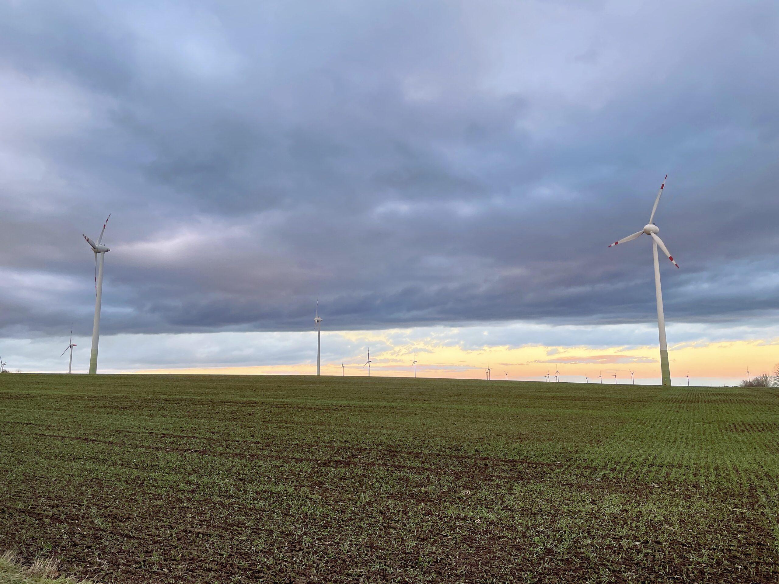 Windpark im Weinviertel bei Sonnenuntergang