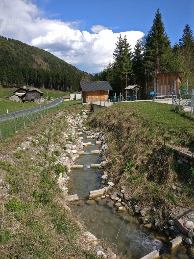 Seminar Freie Bahn für Flossenträger: Fischfreundliche Lösungen für die Wasserkraft